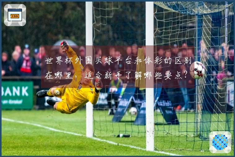 世界杯外围买球平台和体彩的区别在哪里，适合新手了解哪些要点？