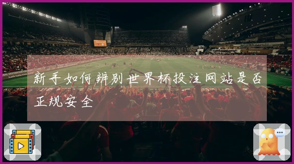 新手如何辨别世界杯投注网站是否正规安全