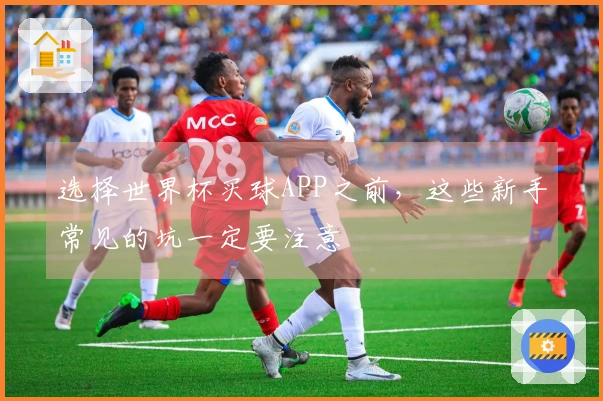 选择世界杯买球APP之前，这些新手常见的坑一定要注意