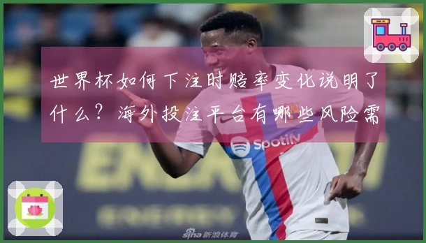 世界杯如何下注时赔率变化说明了什么？海外投注平台有哪些风险需要注意？