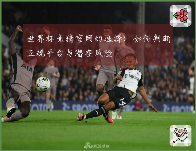 世界杯竞猜官网的选择：如何判断正规平台与潜在风险