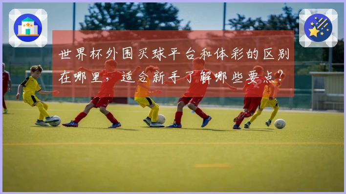 世界杯外围买球平台和体彩的区别在哪里，适合新手了解哪些要点？