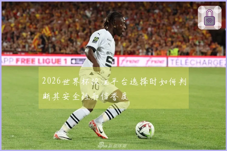 2026世界杯投注平台选择时如何判断其安全性和信誉度