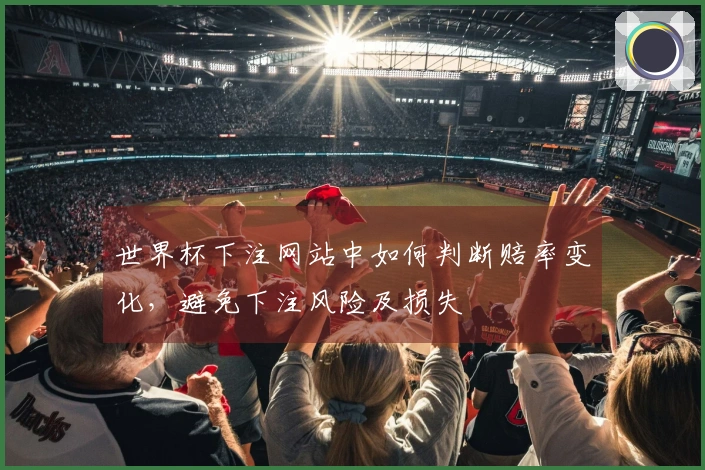 世界杯下注网站中如何判断赔率变化，避免下注风险及损失