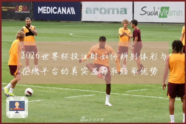 2026世界杯投注时如何辨别体彩与在线平台的真实差异和赔率优势